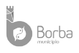 Município de Borba