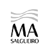M.A. Salgueiro, S.A.