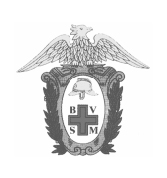 Bombeiros Volunta?rios de S. Mamede de Infesta